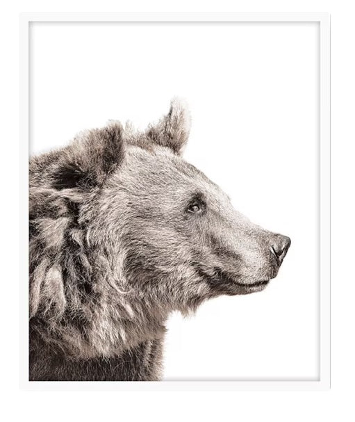 ISOLATED BEAR WALL DECOR WITH WHITE FRAME