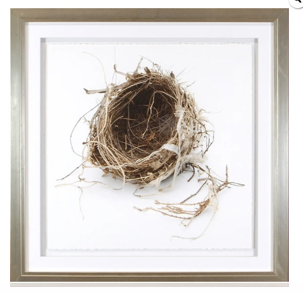 SIMPLY NESTS FRAMED PRINT