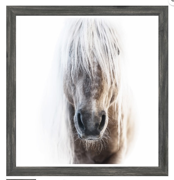 PALOMINO FRAMED PRINT