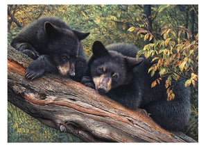 MOM'S AWAITING PUZZLE (1,000 PCS)
