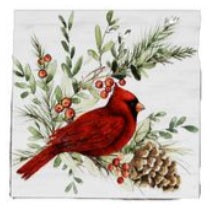 CARDINAL PERCHED ON BERRIES WITH 1 PINECONE
