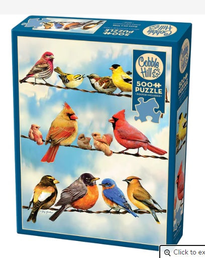 BIRDS ON A WIRE PUZZLE (500 PCS)