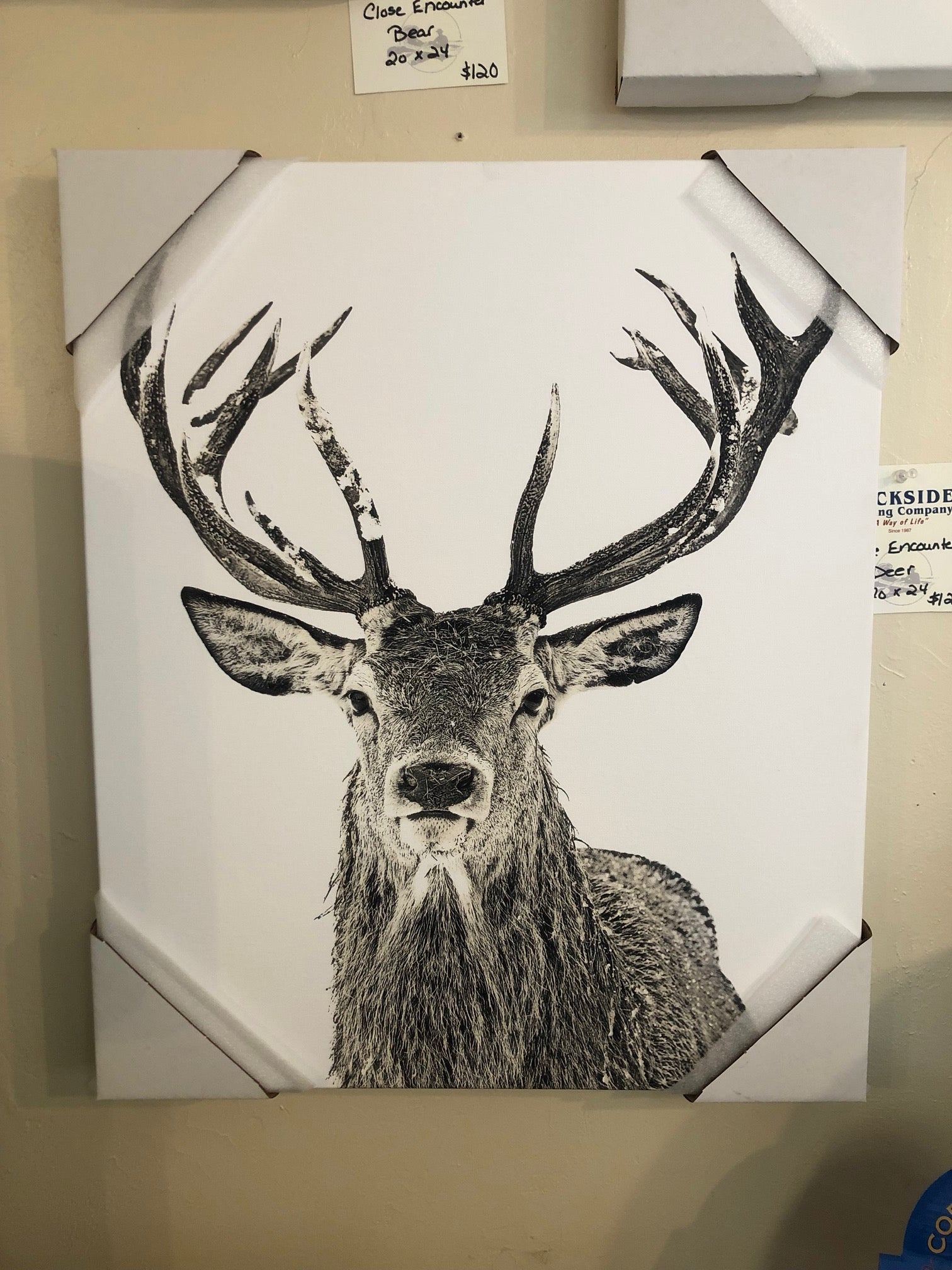 CLOSE ENCOUNTER DEER WALL DECOR CANVAS