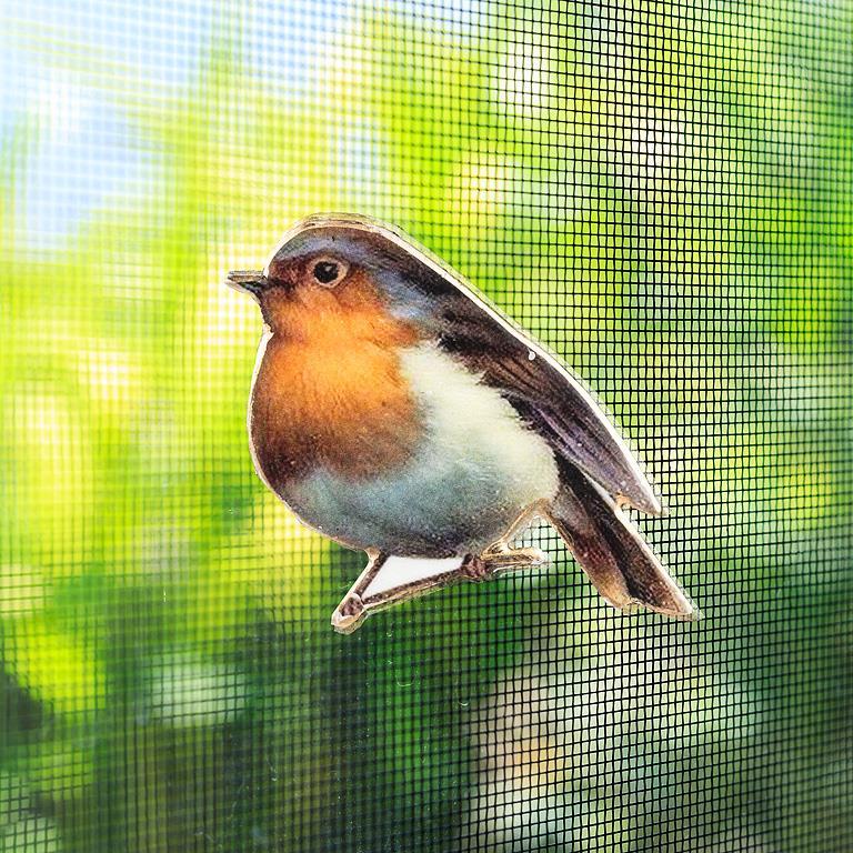 MAGNET BIRD
