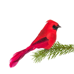 ABBOTT - SMALL CARDINAL BIRD CLIP