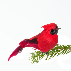 ABBOTT - SMALL CARDINAL BIRD CLIP