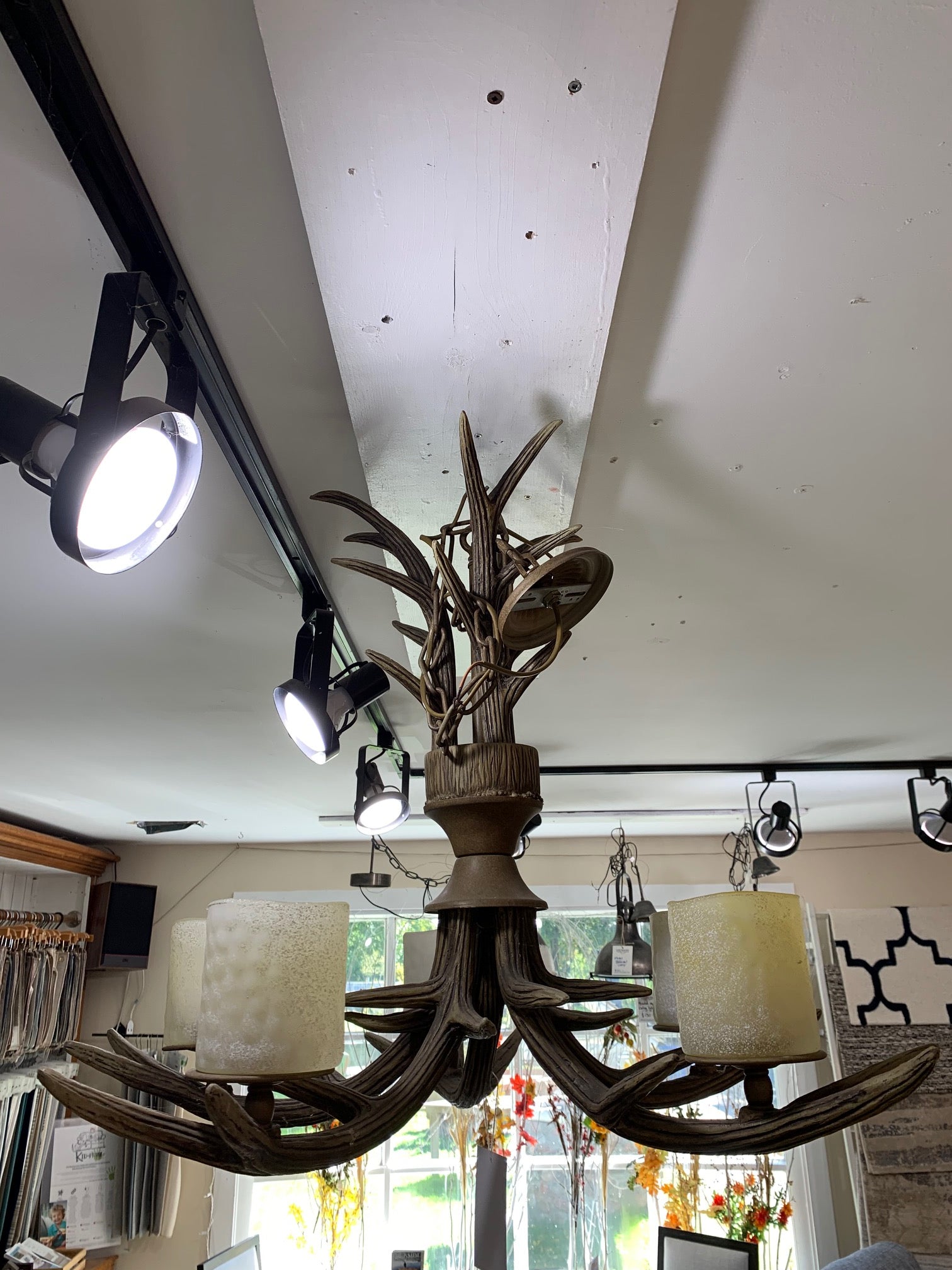 5 Light Antler Chandelier